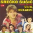 Srecko Susic
