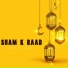Mesum Zaidi