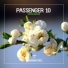 Passenger 10