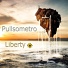 Pullsometro