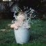 Duns Scott