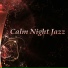 Piano Night Music Paradise