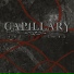Capillary