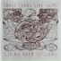 Small Leaks Sink Ships