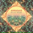 Annasaid