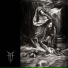 Dolphin - Тебя
