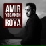 Amir Yeganeh