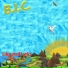 BIC