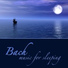 Sleep Music Dream