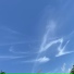Muu Blanco