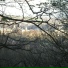 The Declining Winter