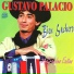 Gustavo Palacio