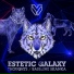 Estetic Galaxy
