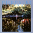 Piirpauke