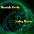 Mandala Fields