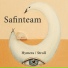 Safinteam