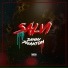 Salvi
