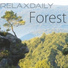 Relaxdaily