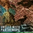 Aniello Misto
