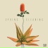 Christian Prommer, Bugsy feat. Jinadu