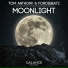 Tom Anthony, Forcebeatz