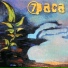 7Раса