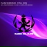 Dance Bridge