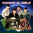 Los Capos De Mexico