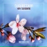 Sugarstarr feat. Alexander