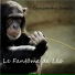 Christophe Sarale