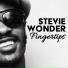 Stevie Wonder