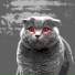 Qst0