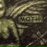 Moth