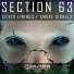 Section 63