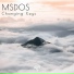 MSDOS