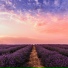 Yoga, Deep Sleep Meditation, Native American Flute