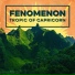 Fenomenon