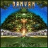 Banyan
