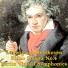 Berlin Virtual Symphonics