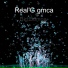 Real'G gmca