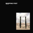 Whipping Post