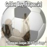 FC Bayern