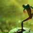 Toad And Frog