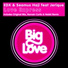 EDX, Seamus Haji feat. Jerique