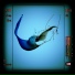 4ast Ray