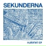 Sekunderna