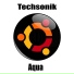 Techsonik