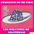 Los Halcones De Salitrillo