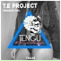 T. E Project