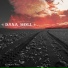 Dana Moll